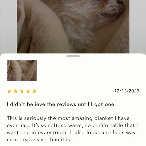 LAST ONE ☝️ Sophie Faux Fur Blanket - Picture 5 of 8